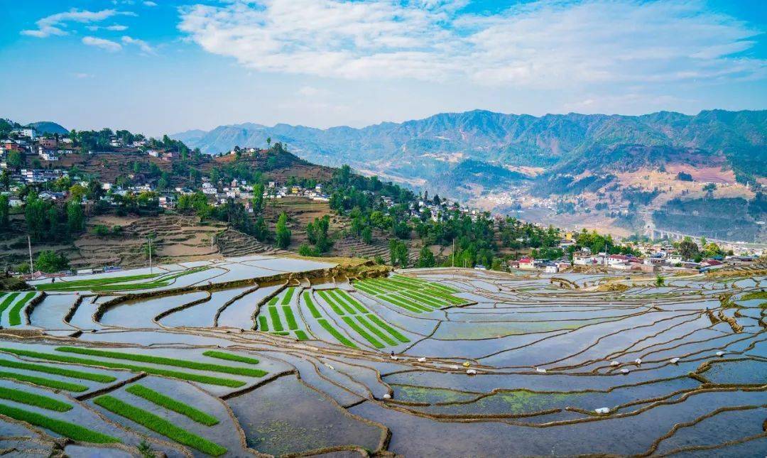 大凉山甘洛彝区春耕春播梯田美如画_摄影_云南_凉山州