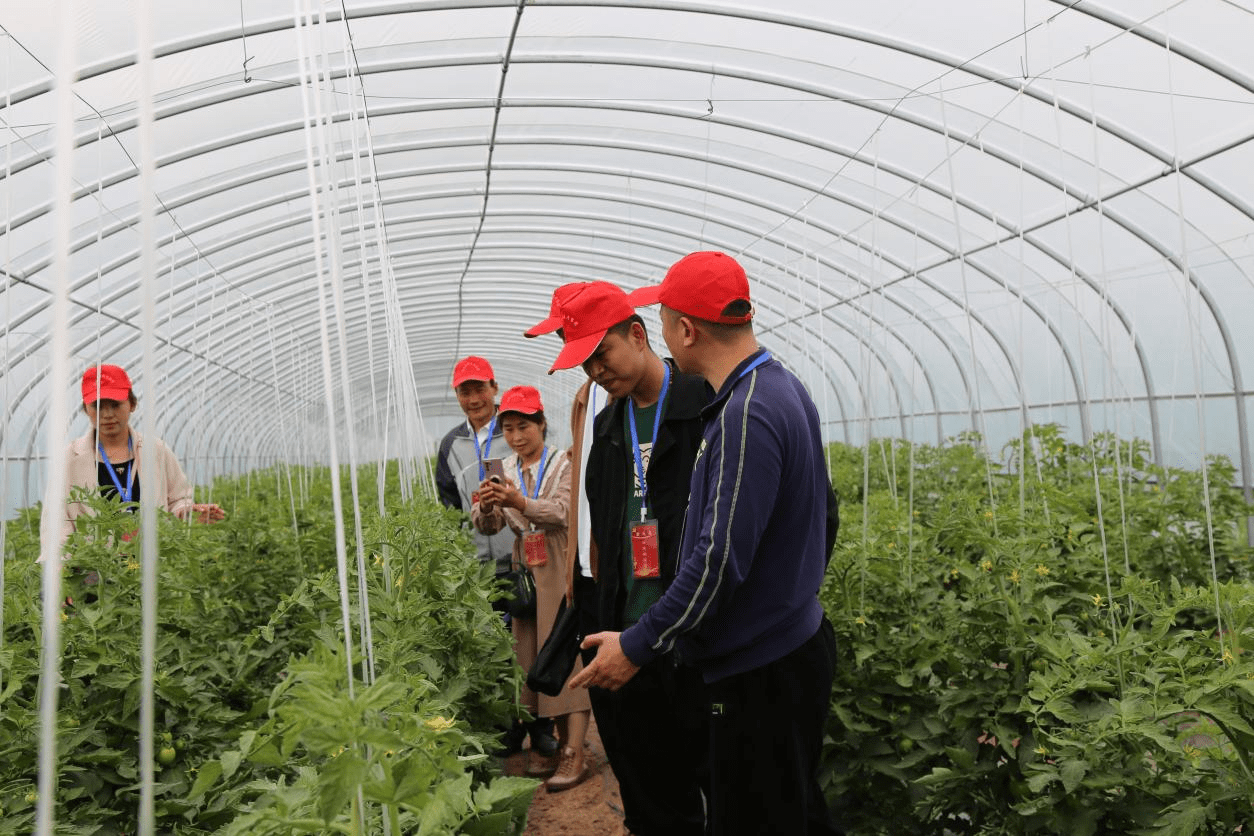 小狗种美丽鲜花（狗养什么花旺财） 第4张