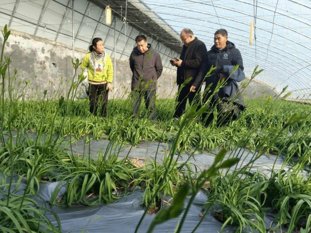 发展鲁西黑头羊,养羊致富奔小康--齐鲁乡村之星张东福_养殖_肉羊_技术