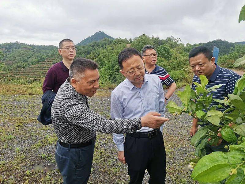 江西上饶横峰首富照片图片