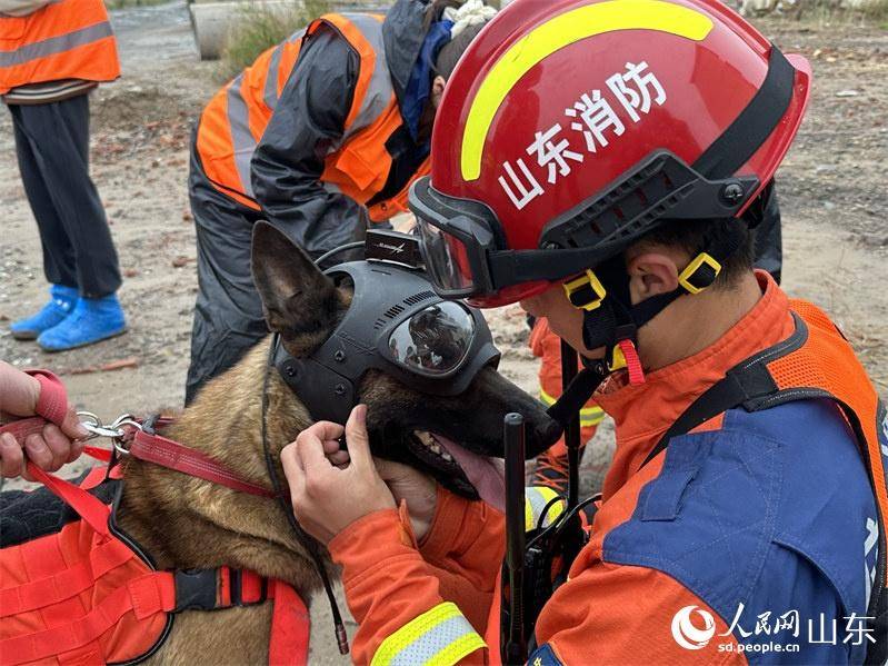 “任务召唤·齐鲁砺剑-2023”地震救援跨区域实战练习训练圆满完毕