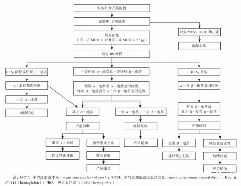 蒋玮莹表示:目前,地中海贫血筛查项目为血常规(初步筛