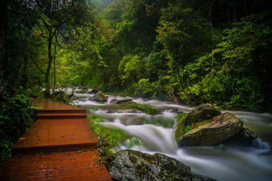 區桃花溪景區國家a a a a級旅遊景區安康這個新晉的下面一起來了解下