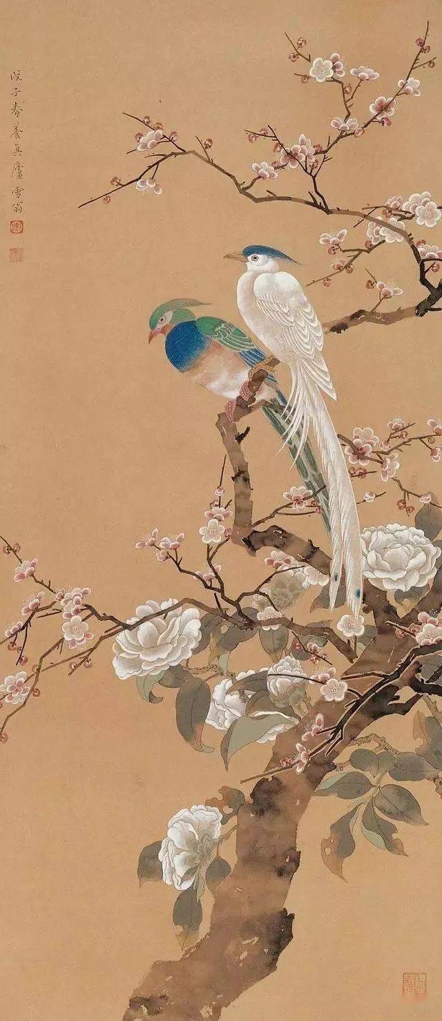 这组花鸟，让人心生欢喜_搜狐网