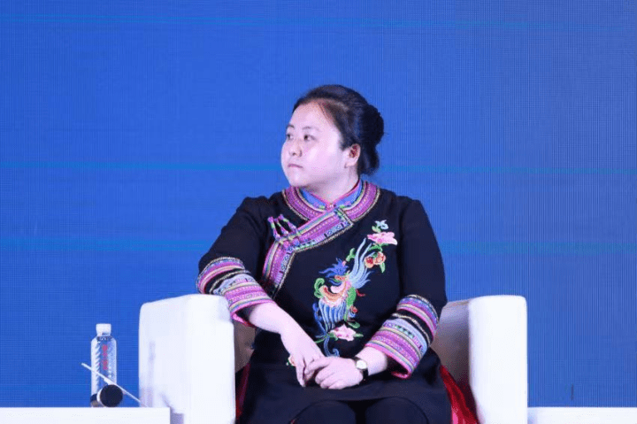 吴可人说,景宁作为浙江高质量发展建设共同富裕示范区的有机组成部分