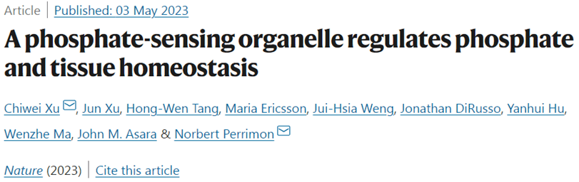 Nature：重大进展！在动物肠道中发现一种储存磷酸盐的细胞器