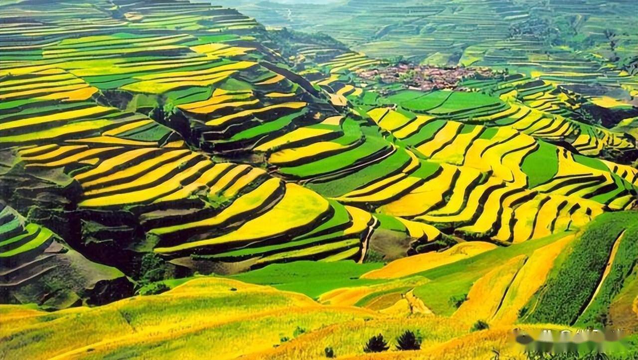 庄浪县以独具特色的梯田景观自然风光引了众多游客_旅游_假日_设施