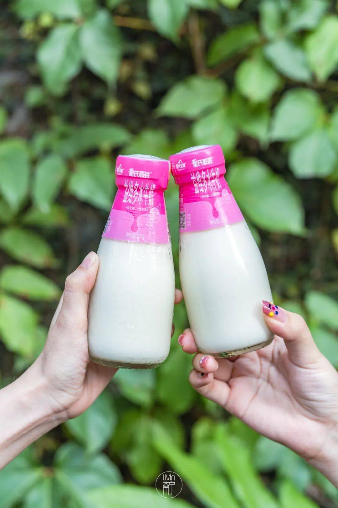 这家奶屋,巴不得家楼下就有_鲜奶_牛奶_皇氏乳业