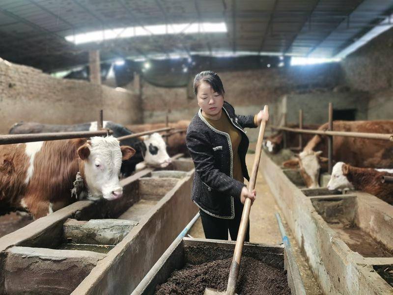 习水农商行：“贷”动创业梦 “托”起大民生（贵州农信务川支行）