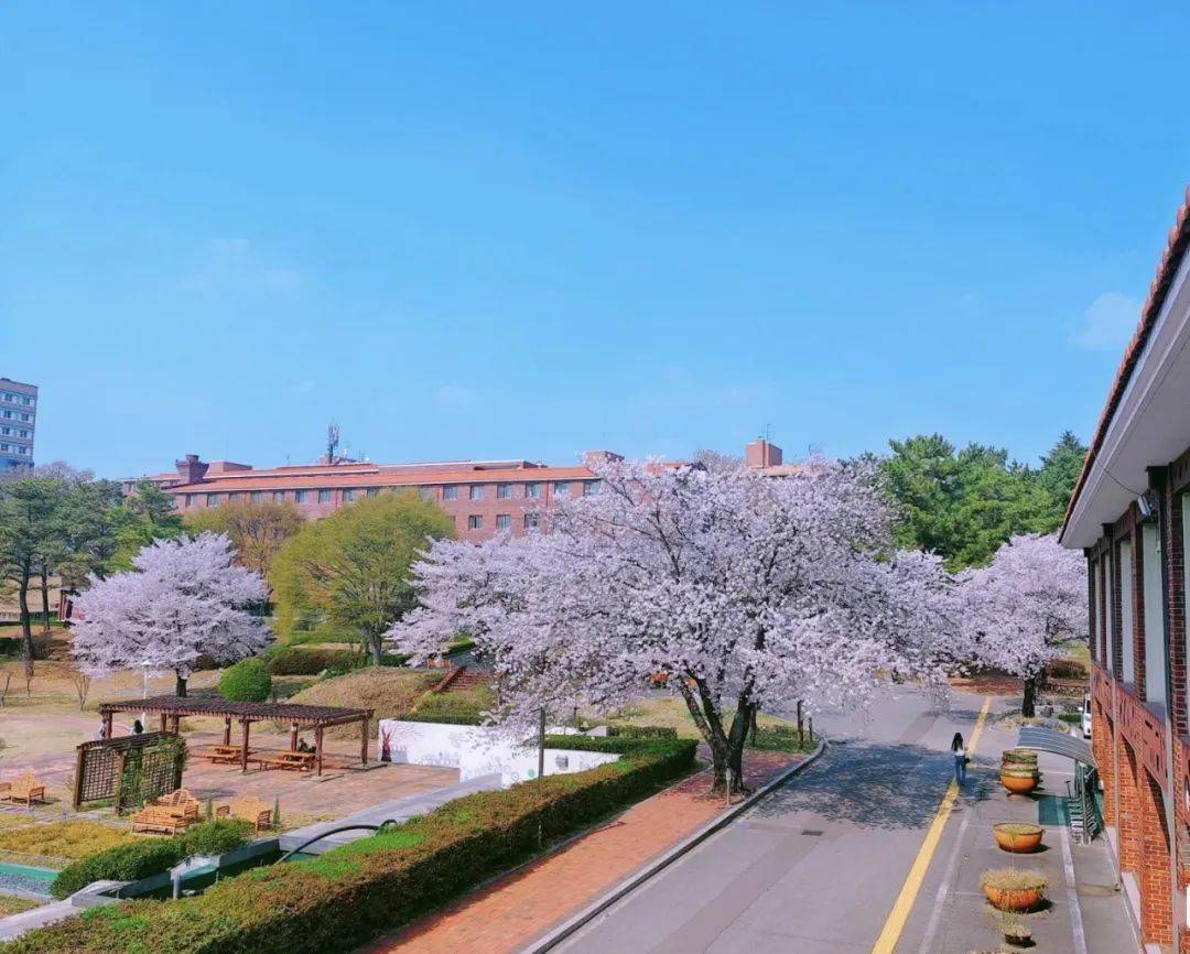 韩国大邱大学图片