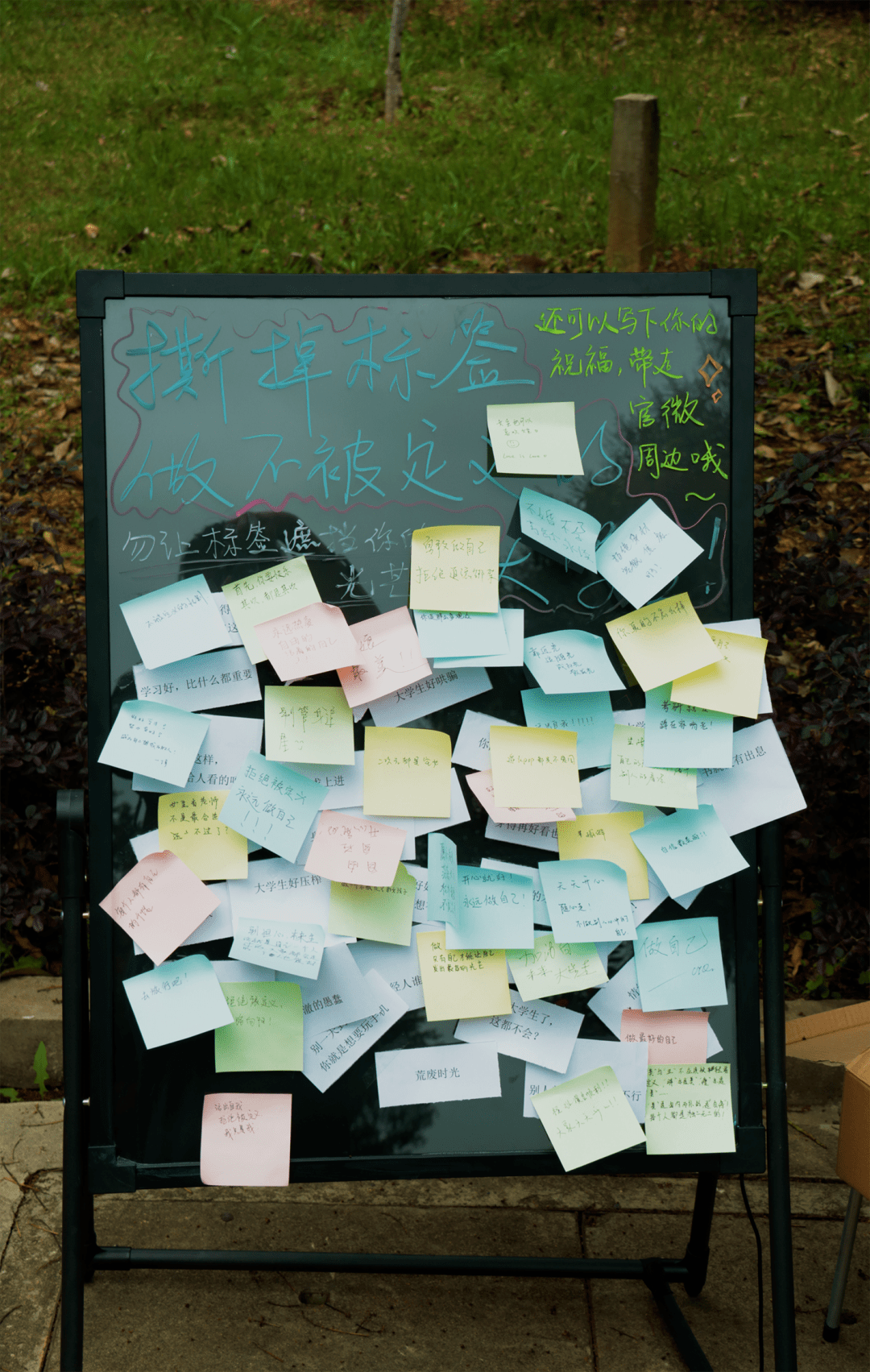 仰恩学子打破标签,拒绝被定义!_天都_大学_样子