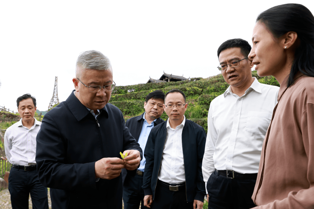 浙江省委常委,常务副省长徐文光莅景调研_景宁_发展_资源