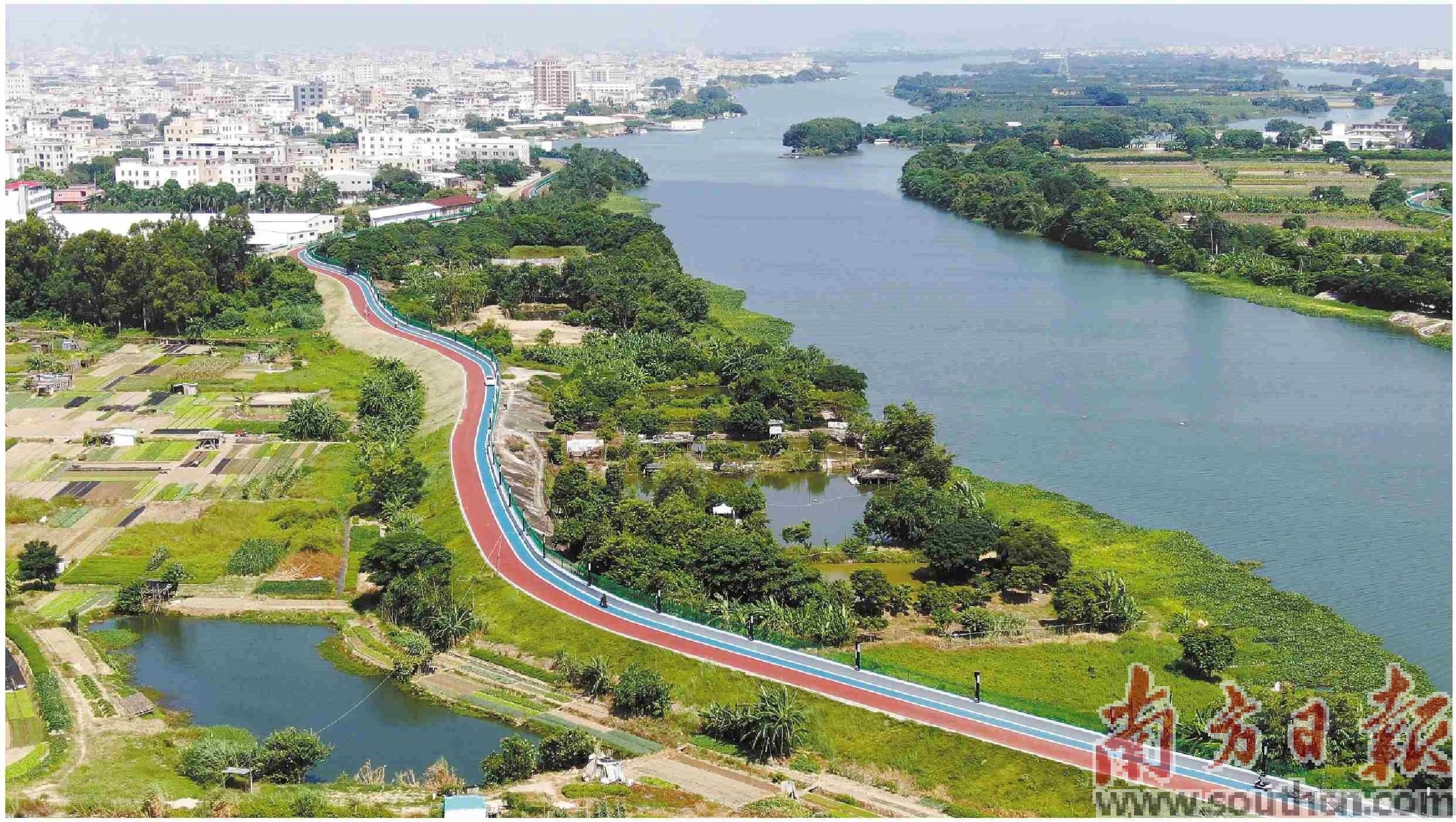碧道焕新 绿美惠民_建设_龙湖区_新津河