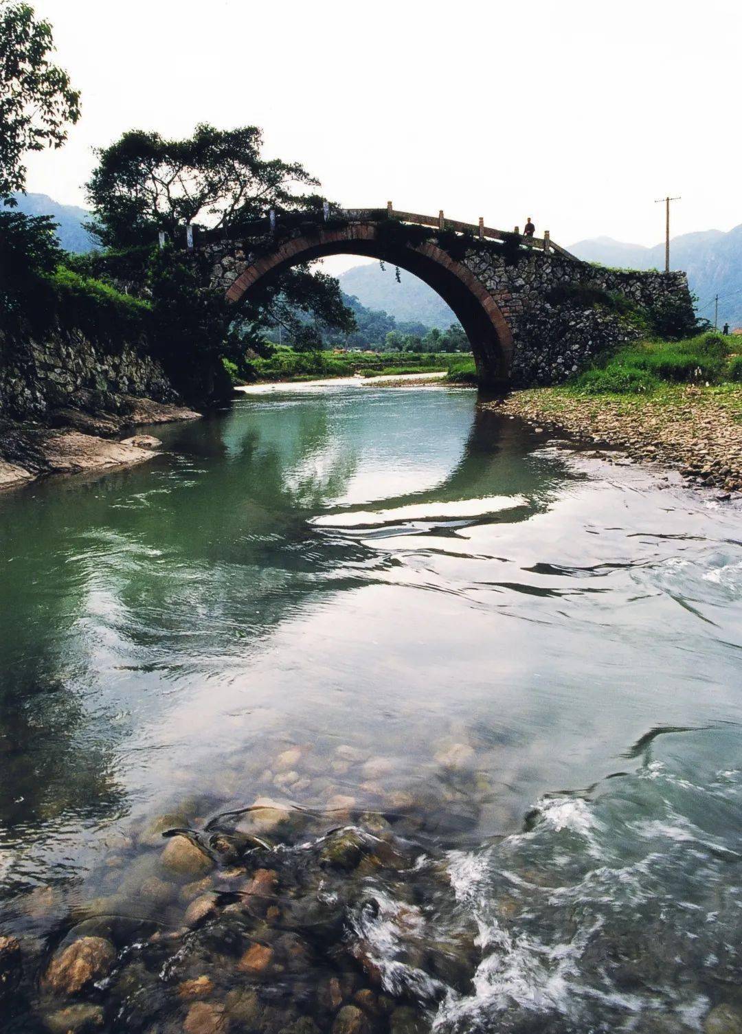 全是美食,3天3夜吃不完_炎亭镇_美景_金乡