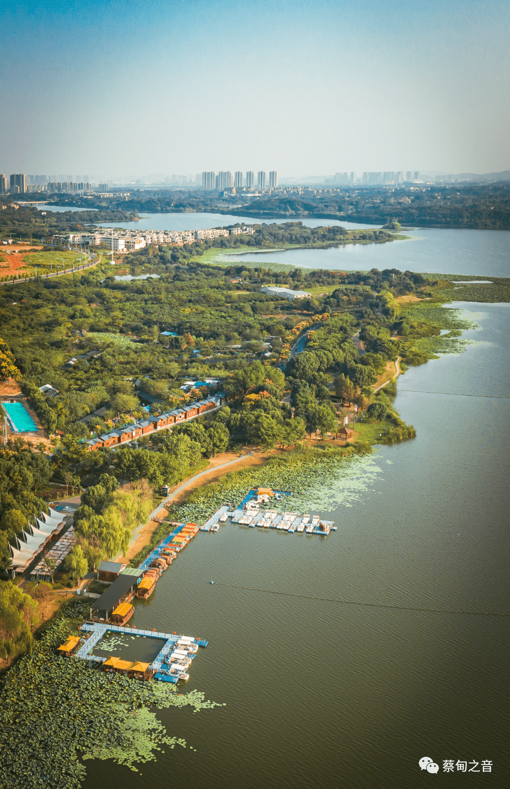 武汉蔡甸区两家景区有新变化_发布公告_王国_游客