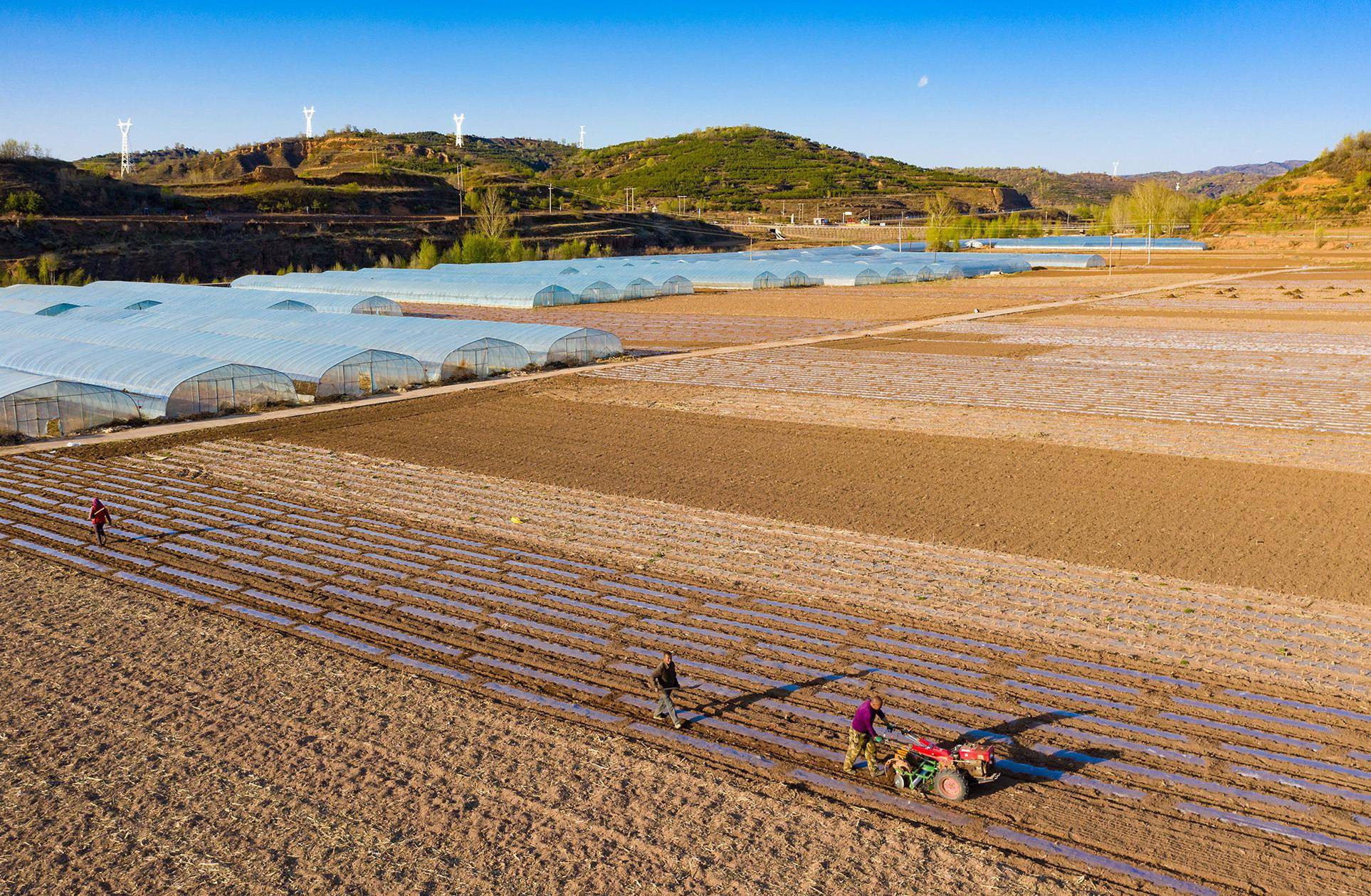 山西左权:农田耕作忙 孕育新希望_旱作_农业_标准化