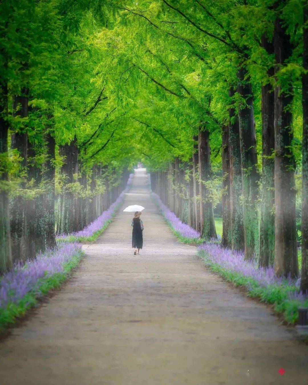 优雅的夏天:于时光深处,许岁月安然_summer_piano_relax