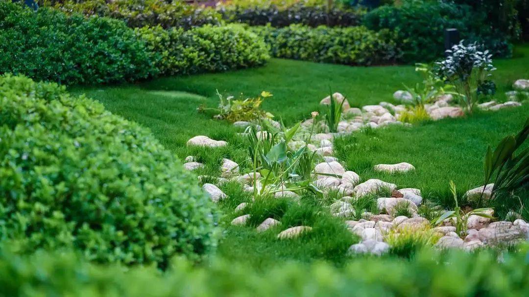 去年,在各单位的共同努力下,徐州市系统化海绵城市建设取得阶段性成果