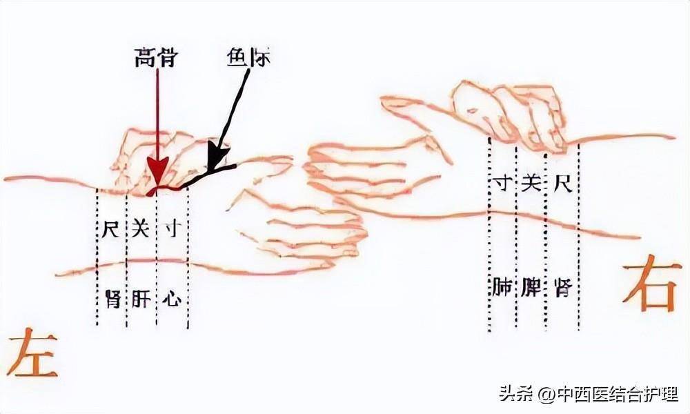 把脉位置图图片