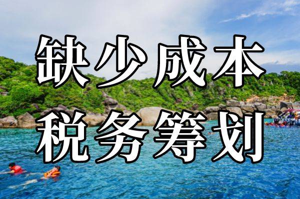 增值稅的稅收優惠政策主要是針對小規模納稅人,高新技術企業和農產品