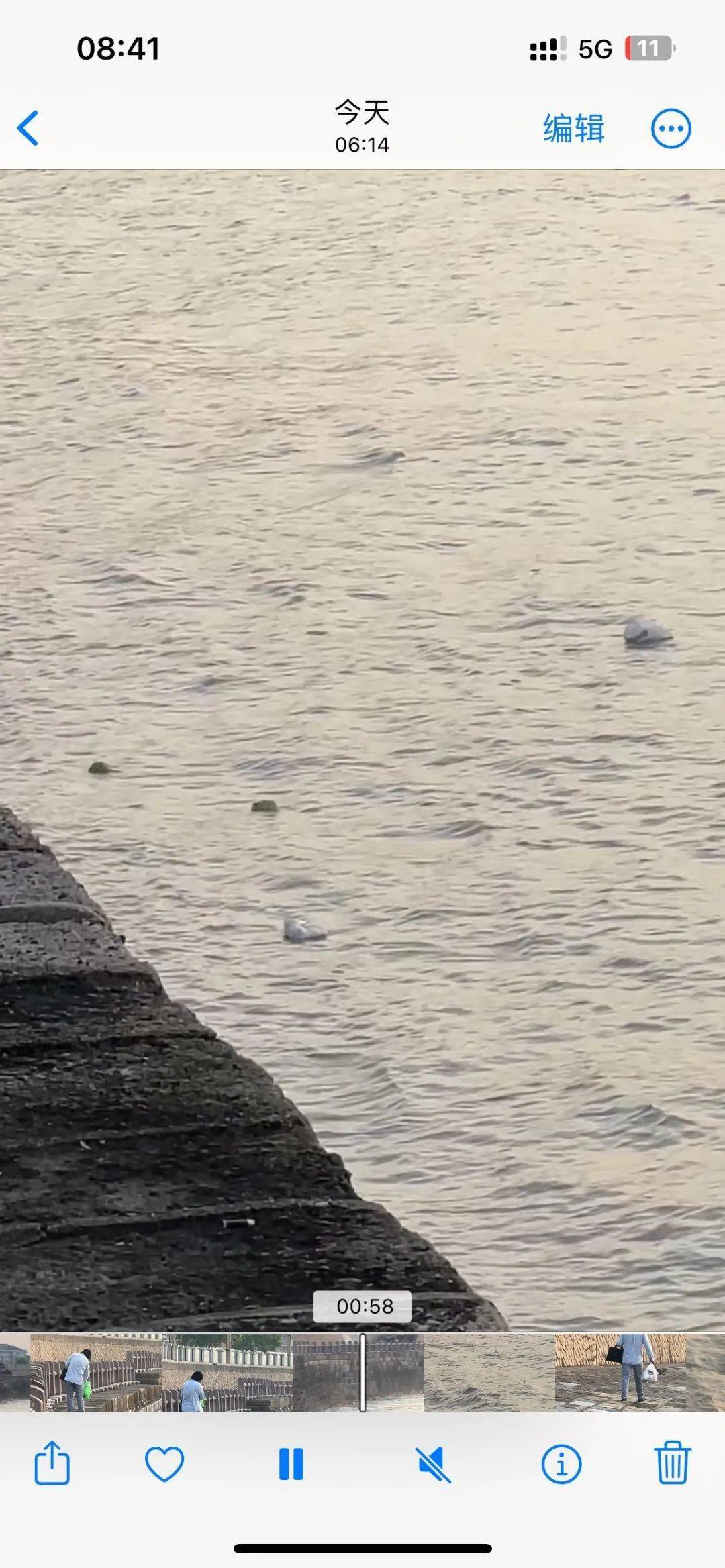 有网友在海盐观海园遇到一个"怪人"!
