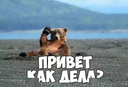 50 俄语人social必备表情包!斗图压根儿没在怕的!_俄罗斯_盘点_来自