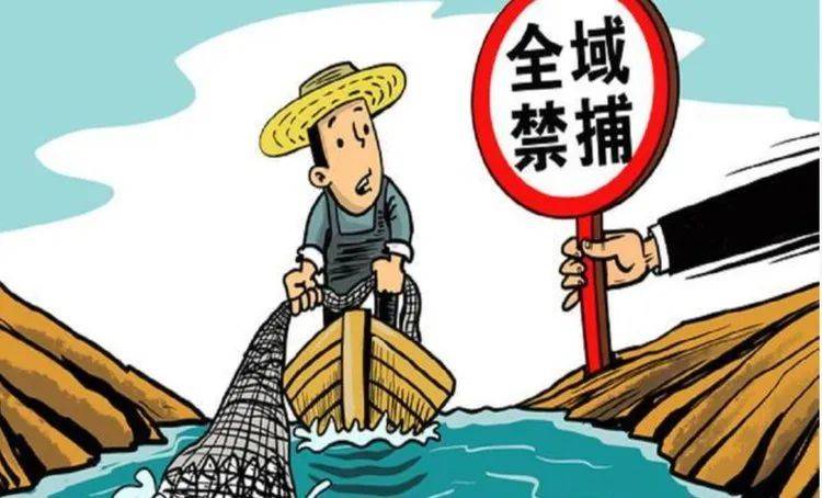 长江"十年禁渔",紫云公安持续"亮剑"_销售_非法_检查