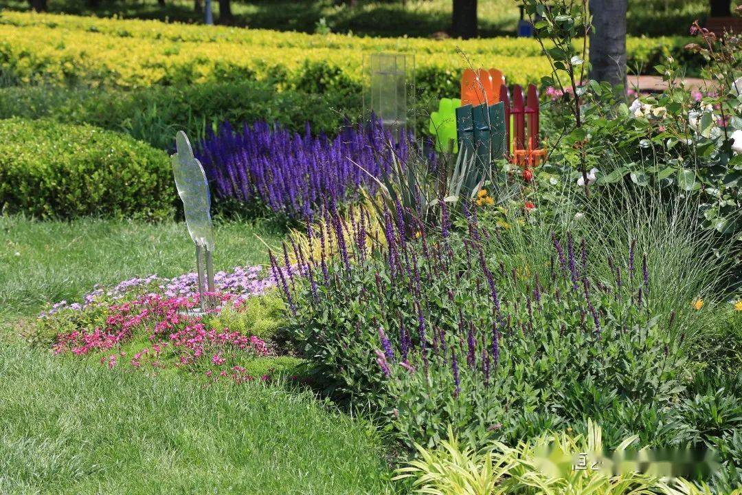 花境赏析 07 上海耀华滨江花境_植物_项目_地址