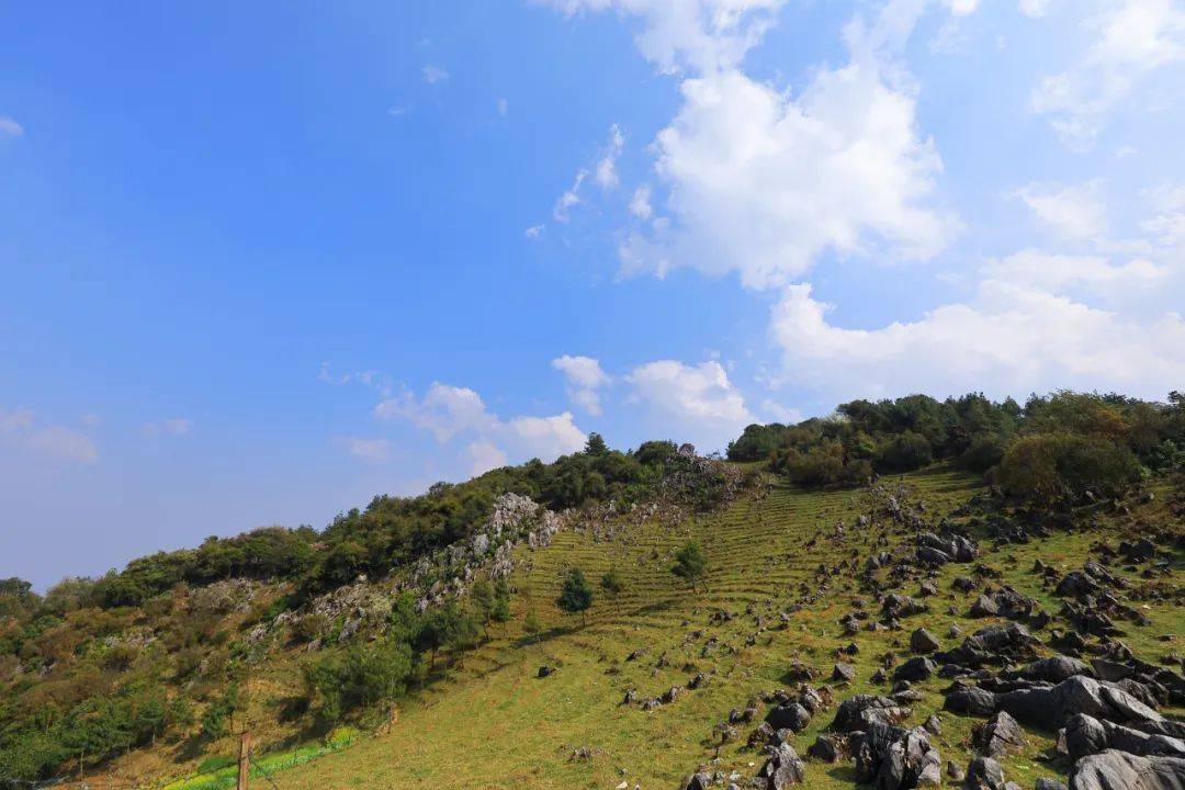 保山| 美在龙陵,碧寨猴城._故事_厂坪_龙新乡