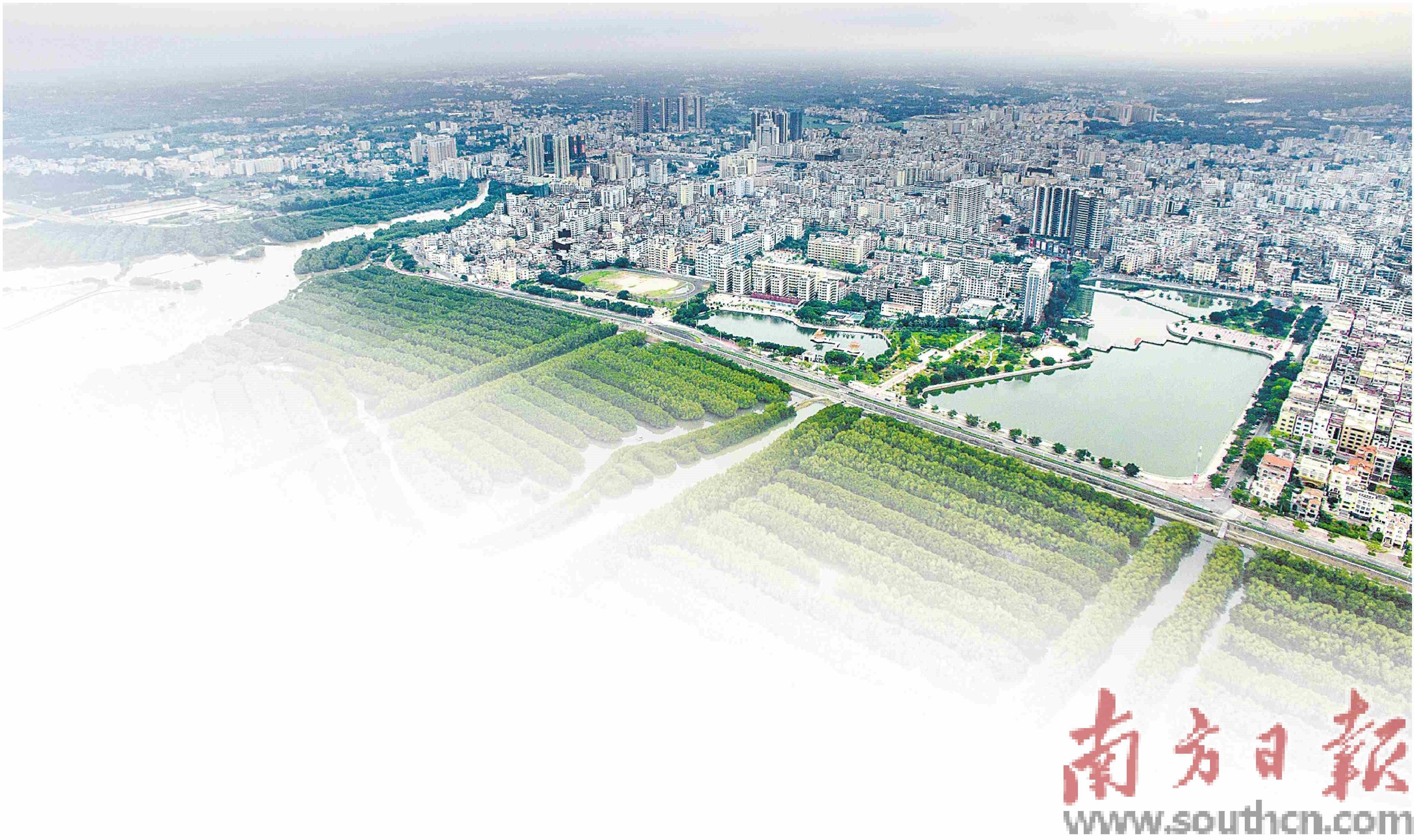 茂名市街道网站建设方案_(茂名市街道网站建设方案公示)