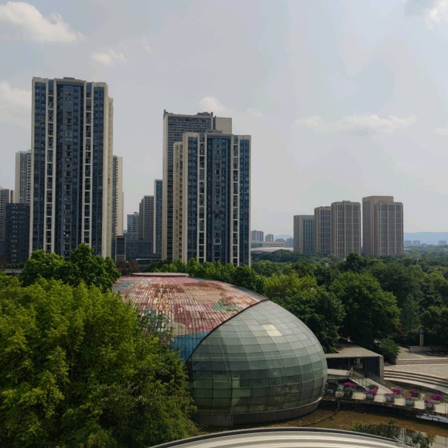 如何正确地进行屈臂悬垂运动？_身体_姿势_手臂