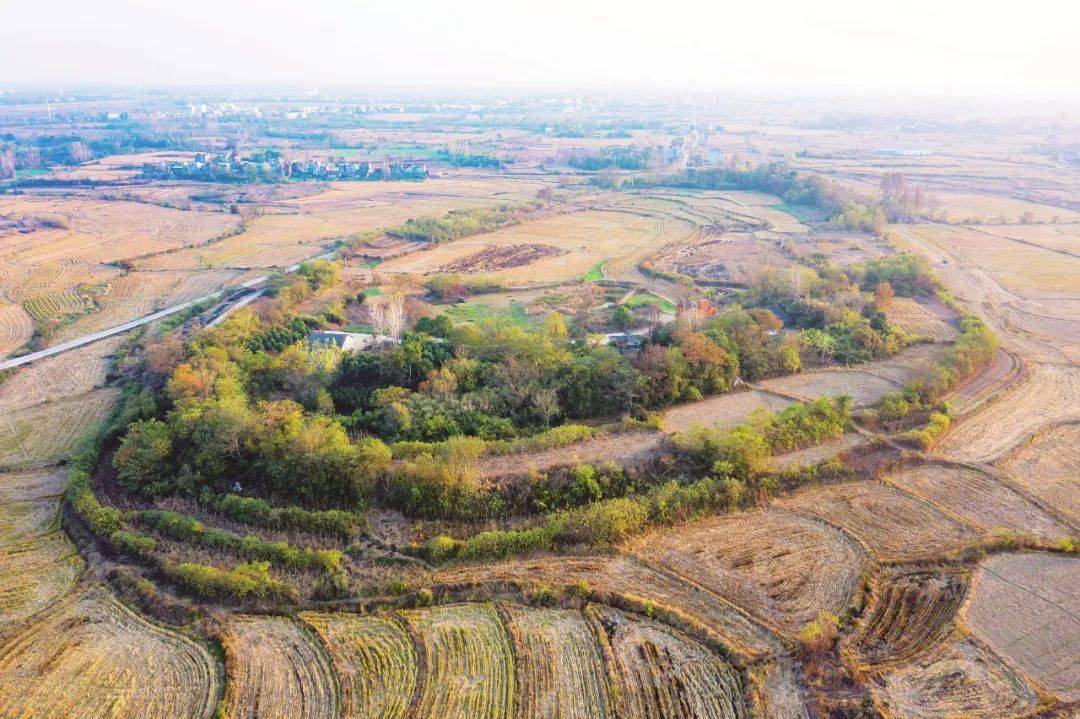 石家河古城面积近350万平方米_考古界_遗址_文明