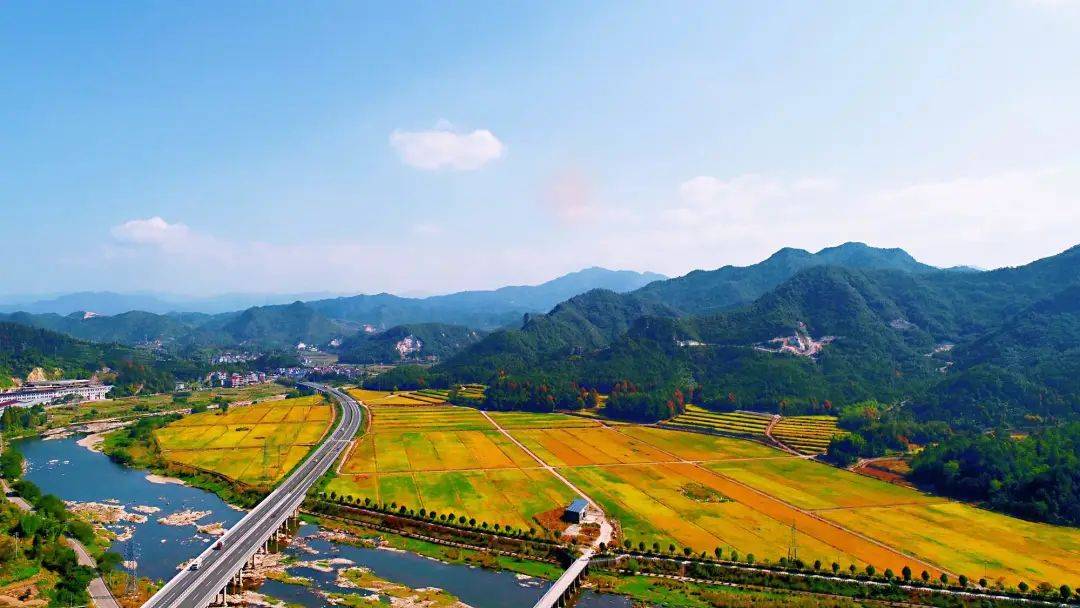 丽水市一乡镇入选2023年全国农业产业强镇创建名单_东方镇_小城_发展