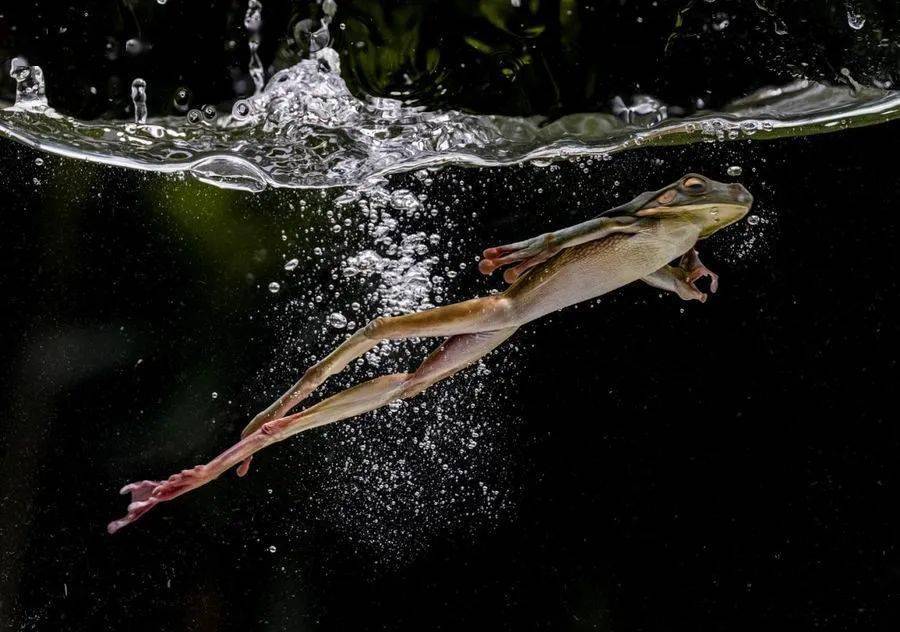 (india) - pride barricadeisf金牌russell millner (united kingdom)