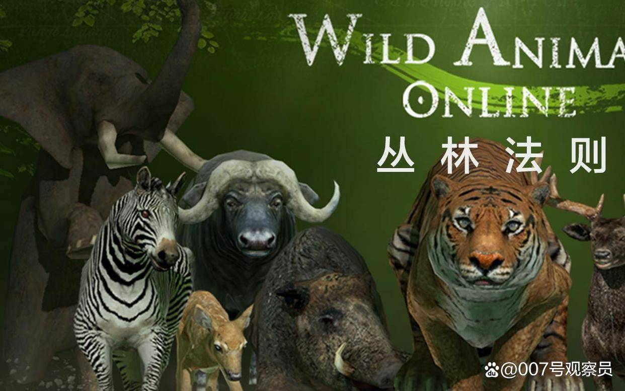 社会生存丛林法则,人人都需要遵守_竞争_合作_保护