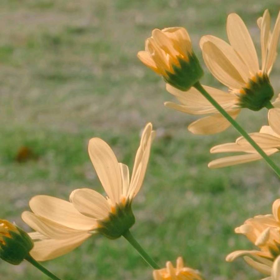 亲历彩虹易支付骗局：我的真实经历与教训分享 (彩虹易下)-初仟社区