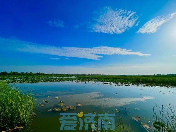 2023年5月20日(星期六)将在白云湖国家级湿地公园举办2023年济南市