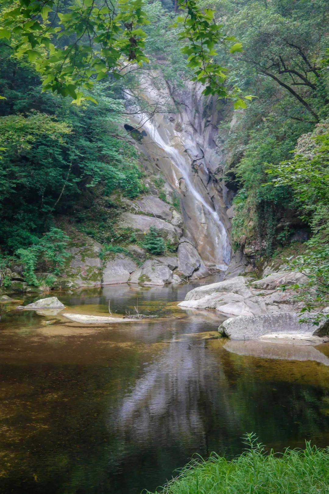当519遇上520,"趣"武都,你可以这样过→_旅游_景区_攻略