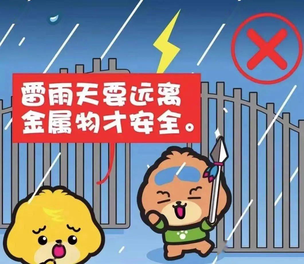 防雷電安全知識宣傳篇_孩子_金屬_暴雨