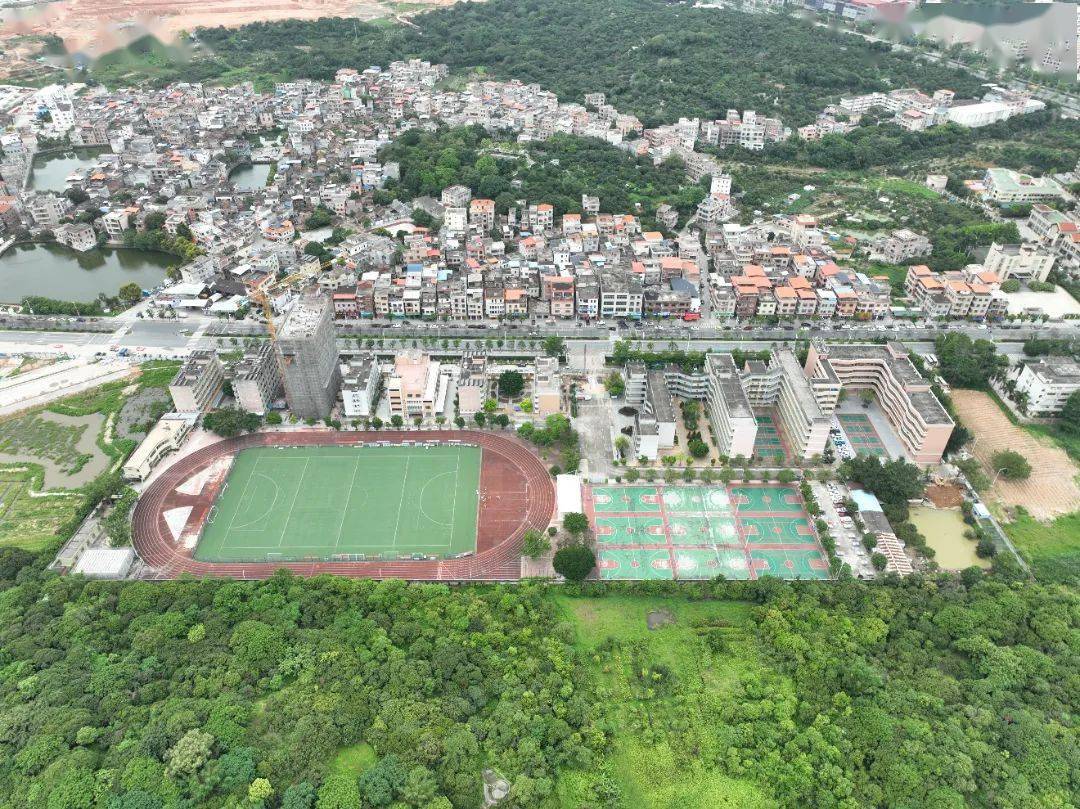 增城仙村中学高中部图片