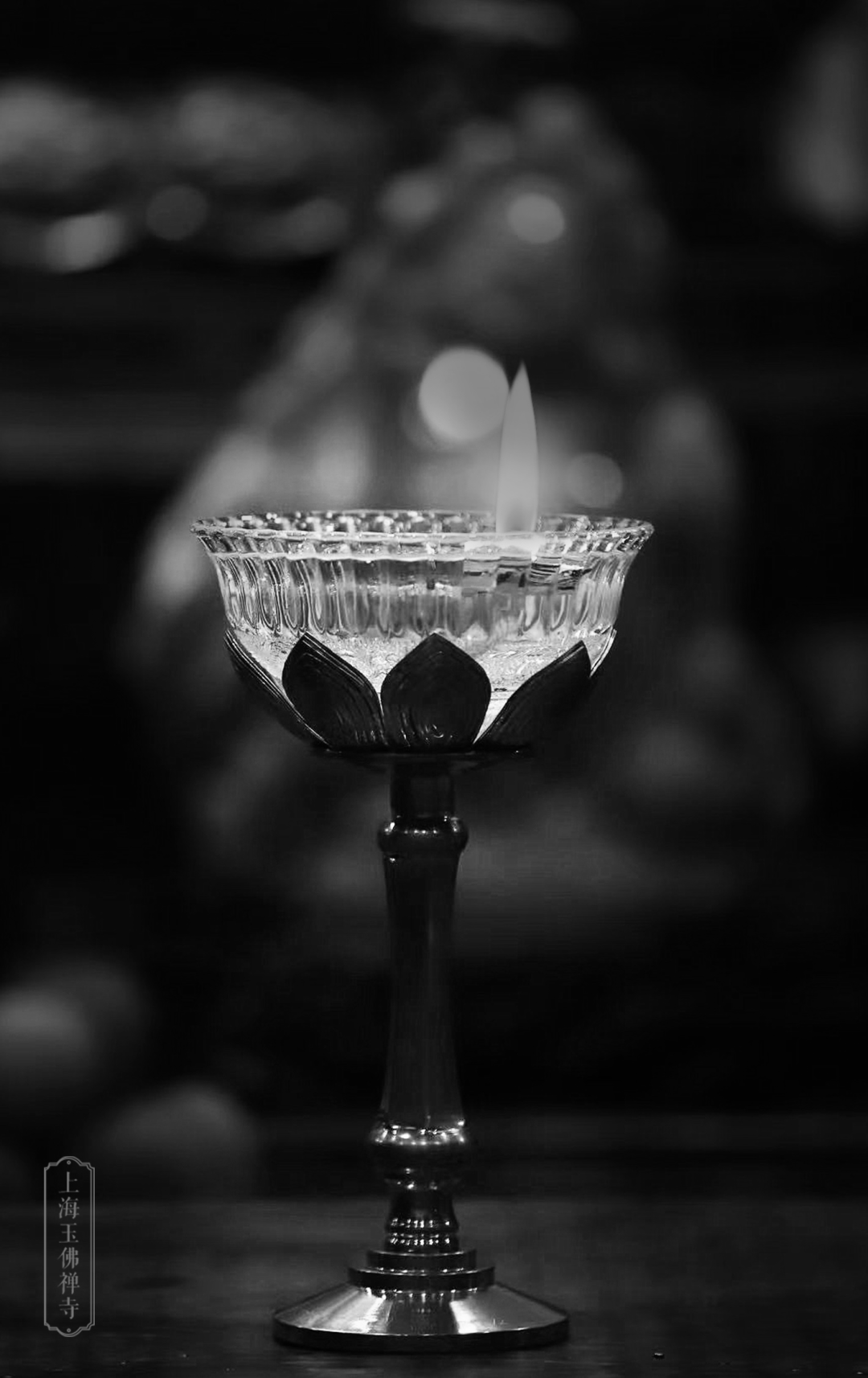 佛法_释迦牟尼_明灯