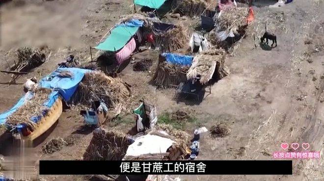 乌克兰卖淫合法化问题_乌克兰代孕产业_乌克兰代孕公司