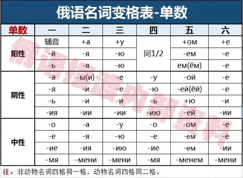 俄语四格图片