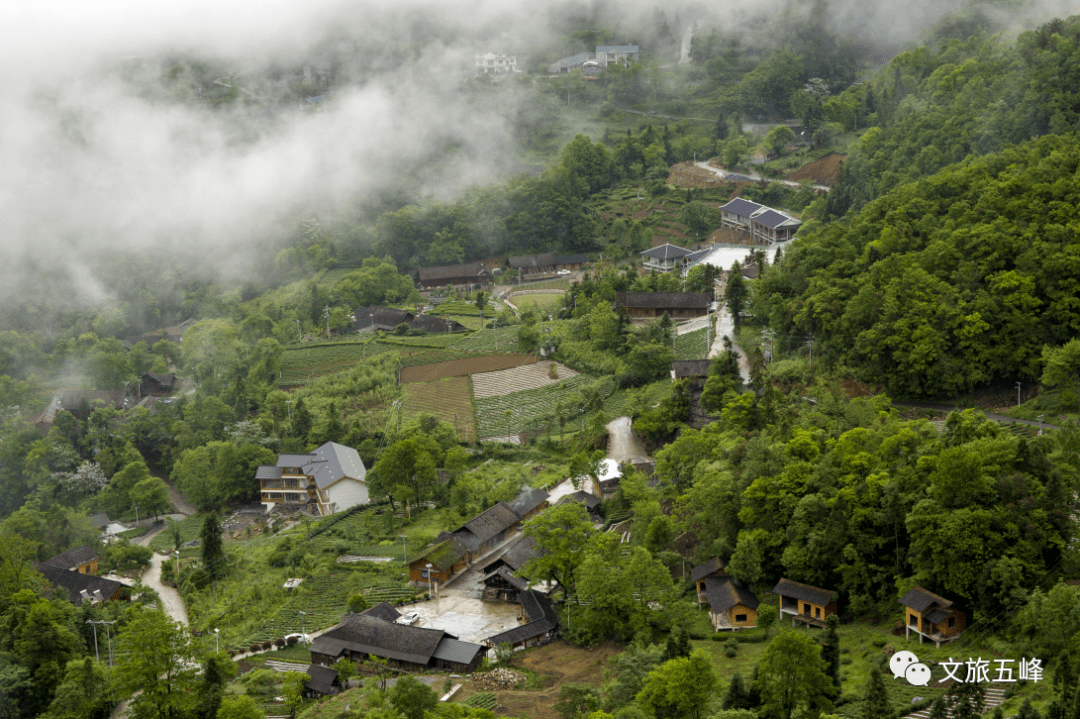 "旅游达人"等级测试(五峰卷)_答案_长乐坪镇_绿色