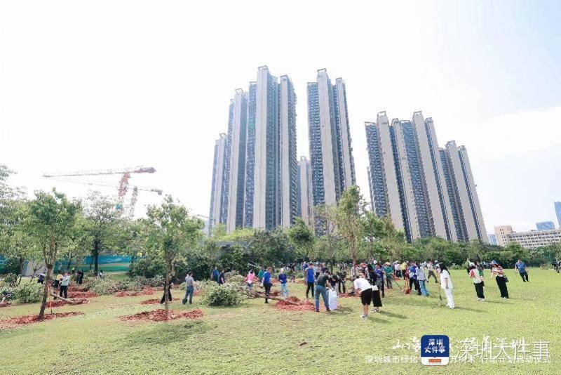 未来五年深圳将增种补植各类树木100万株完美电竞