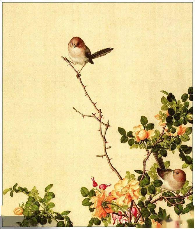 【名品视界】清 郎世宁工笔花鸟画赏_名家_艺术界_鉴定