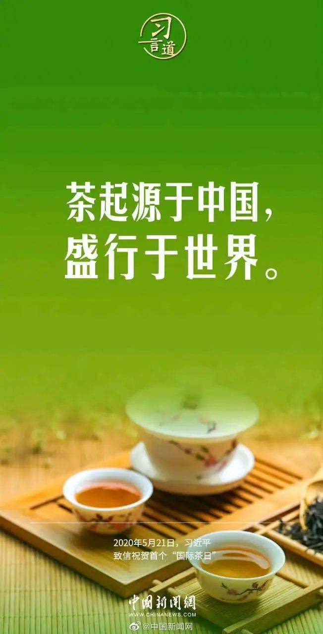 國際茶日,我們以茶會友,去廣西