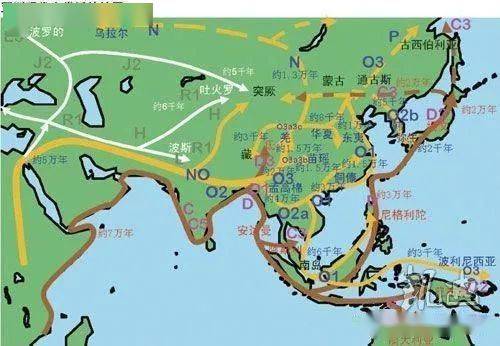 世界人种分布情况及分布地图