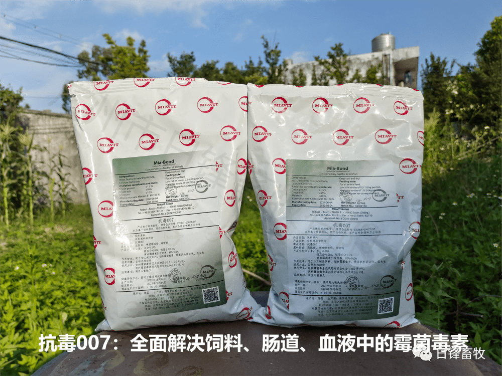 抗毒007-全面解决饲料肠道霉菌问题_毒素_降低_免疫力