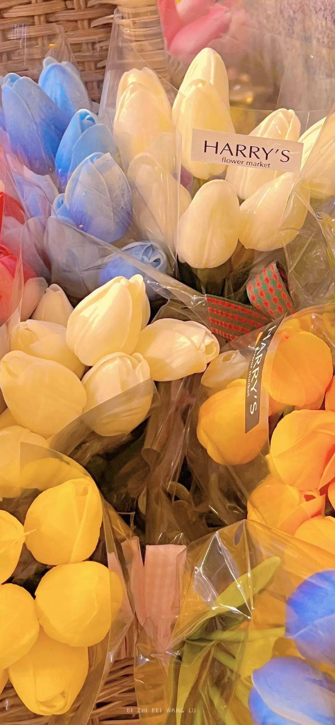 壁纸| 高级感满满的ins风壁纸